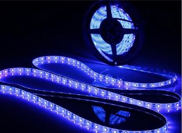 Christinas를 위해 장식 UV 옥외 가동 가능한 LED 지구 빛, 높은 광도