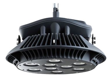 Dimmable 정원 상업적인 지도된 외부 홍수 빛 200 와트 250 와트 60/38 광속 각